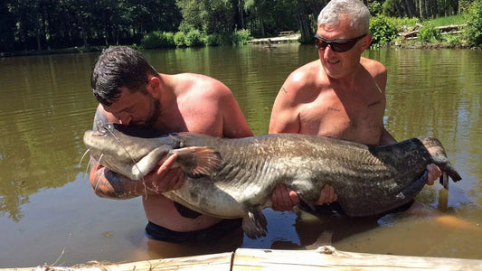 Catfish Night Fishing: Comprehensive Guide from Gear Setup to Safe Harvesting